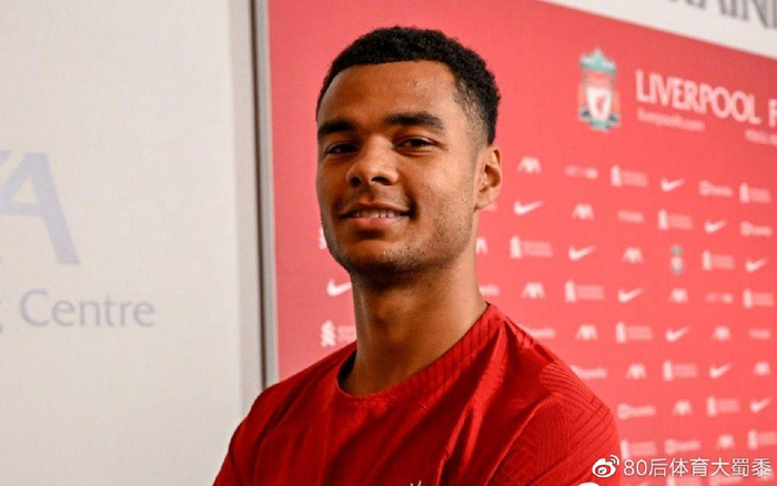 为了更清晰 为了更清晰