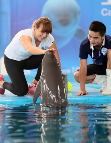 在体能训练 在体能训练